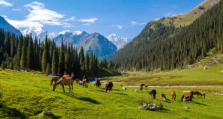 Минприроды Кыргызстана предлагает вынести два месторождения из границ национального парка «Чон-Кемин»