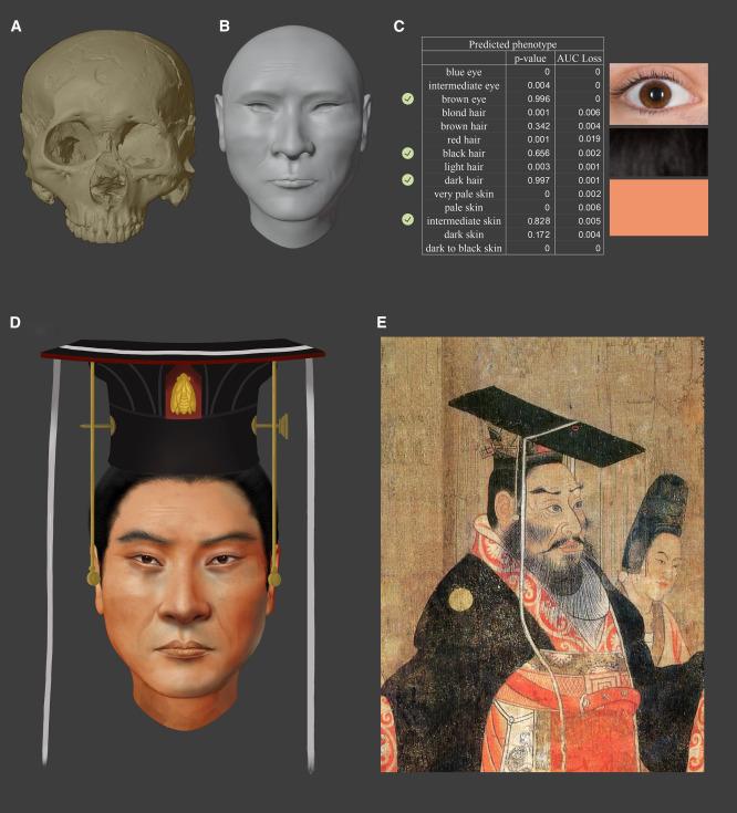 Ученые воссоздали истинный портрет великого китайского императора