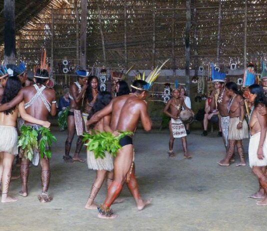 Почему у амазонских индейцев не стареют мозг и сердце