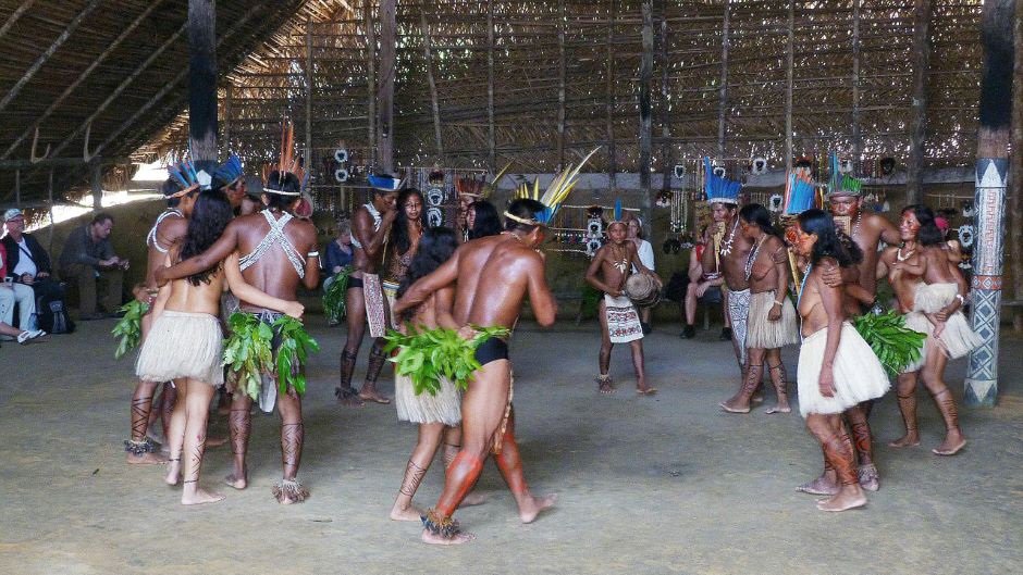 Почему у амазонских индейцев не стареют мозг и сердце