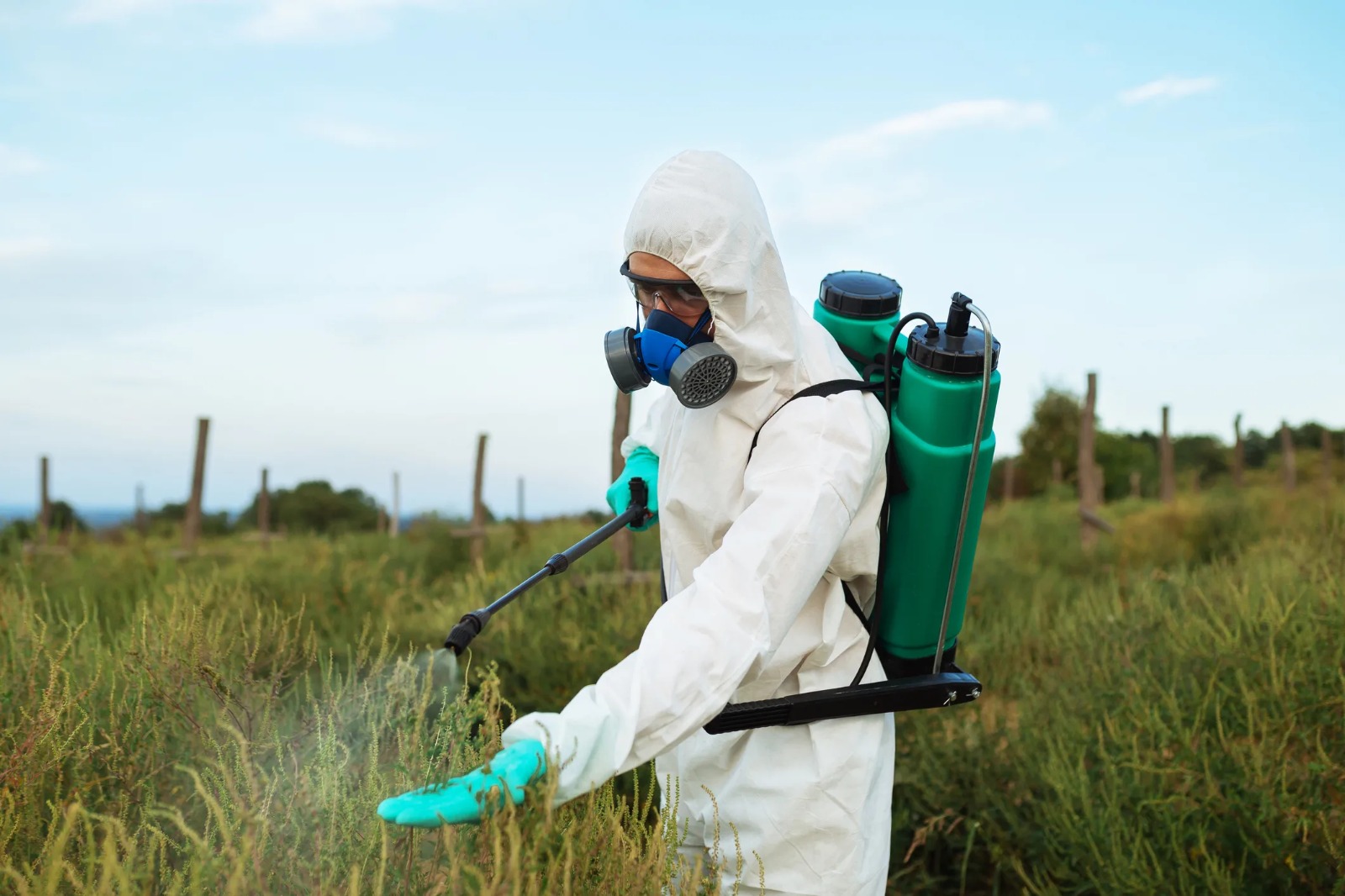 В Кыргызстан завезено более 467 тонн пестицидов