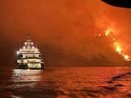 Богатые казахстанцы, подозреваемые в поджоге леса на острове Гидра, смотрели футбол на яхте во время пожара