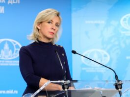 Представитель МИД России: файлы Эпштейна вскрыли «нечисть», которая и придумывала мифы о РФ