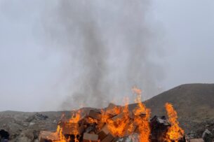 В Баткене уничтожили более 3 тонн винограда и лимона, которые ввезли незаконно