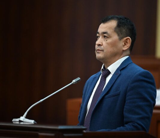 Эркин Чечейбаев освобожден от должности министра здравоохранения Кыргызстана