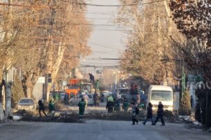 В Оше началась вырубка деревьев