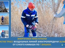 Энергетики приступили к расчистке трасс воздушных ЛЭП от сухого камыша по Бишкеку