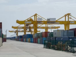 Миллиарды долларов пропали на границе Казахстана и Китая