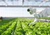 Grow Indigo привлек $10 миллионов для развития углеродного сельского хозяйства в Индии
