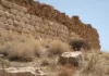 В Африке и на Ближнем Востоке найдены подземные ходы возрастом в миллионы лет