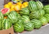 Минсельхоз КР: Для продажи арбузов, дынь и овощей определены и подготовлены специальные торговые площадки