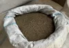 Кыргызстан возобновил экспорт семян люцерны. Первая партия отправлена в Россию
