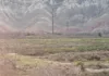 Государству возвратили 120 га земли в селе Ак-Турпак Кадамжайского района