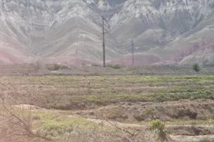 Государству возвратили 120 га земли в селе Ак-Турпак Кадамжайского района