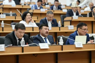 Парламент принял закон об Омбудсмене
