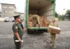 «Кыргыз Агрохолдинг» завершил поставку индивидуальных рационов питания для Погранслужбы Кыргызстана
