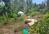 На Иссык-Куле выявлены нарушения экологического законодательства со стороны пансионатов и граждан