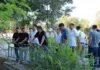 Мэр Бишкека поручил усилить полив зеленых насаждений