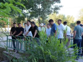 Мэр Бишкека поручил усилить полив зеленых насаждений