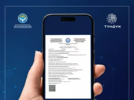 Минтруда КР перевело оформление справки МСЭК в электронный формат