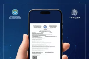 Минтруда КР перевело оформление справки МСЭК в электронный формат