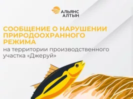 «Альянс Алтын» выявила нарушение природоохранного режима на территории производственного участка «Джеруй»