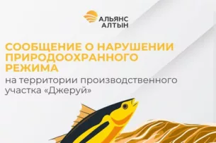 «Альянс Алтын» выявила нарушение природоохранного режима на территории производственного участка «Джеруй»