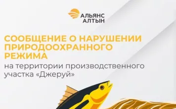 «Альянс Алтын» выявила нарушение природоохранного режима на территории производственного участка «Джеруй»