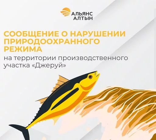 «Альянс Алтын» выявила нарушение природоохранного режима на территории производственного участка «Джеруй»