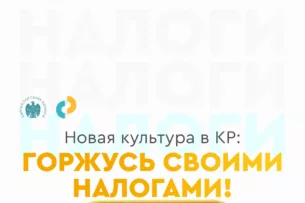 На что могут пойти ваши налоги? Проверьте с помощью интерактивного сервиса “Горжусь налогами”