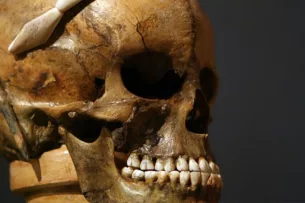 Франция вернула Мадагаскару череп короля, обезглавленного 128 лет назад