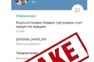 Мошенники предлагают льготные госкредиты: Нацбанк Кыргызстана предупреждает об очередной мошеннической схеме