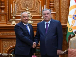 Нурланбек Тургунбек уулу встретился с президентом Таджикистана