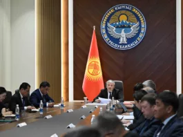 Кабмин Кыргызстана ввел временный запрет на лицензирование частных автошкол