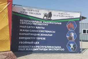 В Ала-Букинском районе завершается строительство экспортно-логистического животноводческого центра «Бай-Талаа»
