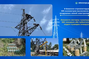 В Бишкеке отремонтируют 595 километров высоковольтных воздушных линий электропередачи