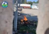Минприроды Кыргызстана напомнило о недопустимости сжигания листьев и бытовых отходов