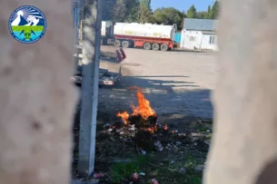 Минприроды Кыргызстана напомнило о недопустимости сжигания листьев и бытовых отходов