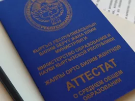 Омбудсмен помогла девушке забрать свои документы из колледжа в Бишкеке и перевестись в Каракол
