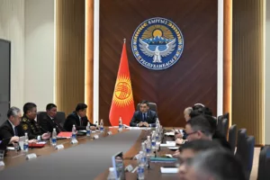 республиканский штаб по досрочным выборам