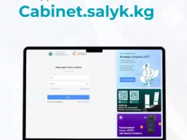 Как зарегистрировать ИП через Кабинет налогоплательщика?