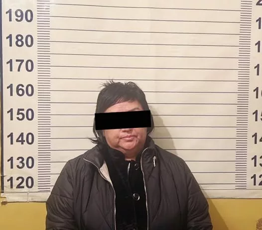 В Чуйской области задержана бывшая глава айыл окмоту по подозрению в незаконной продаже сельхозземель