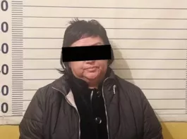 В Чуйской области задержана бывшая глава айыл окмоту по подозрению в незаконной продаже сельхозземель