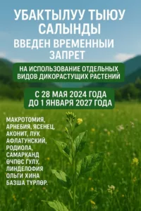 583048116_829261356393662_2409791563176020629_n