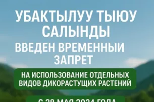 В Кыргызстане действует запрет на сбор и использование отдельных видов растений
