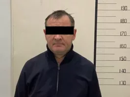 В ГКНБ Кыргызстана рассказали о причинах задержания руководителя компании Kav&Kev