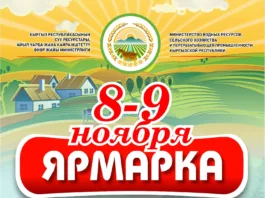 В Бишкеке по выходным будут проходить ярмарки продуктов питания