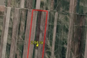 ГКНБ КР: На баланс государства возвращены 80 га земель в Иссык-Атинском районе