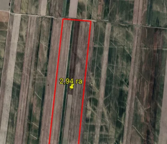 ГКНБ КР: На баланс государства возвращены 80 га земель в Иссык-Атинском районе