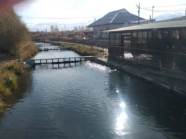 В некоторых рыбоводческих хозяйствах Таласской области выявили нарушения